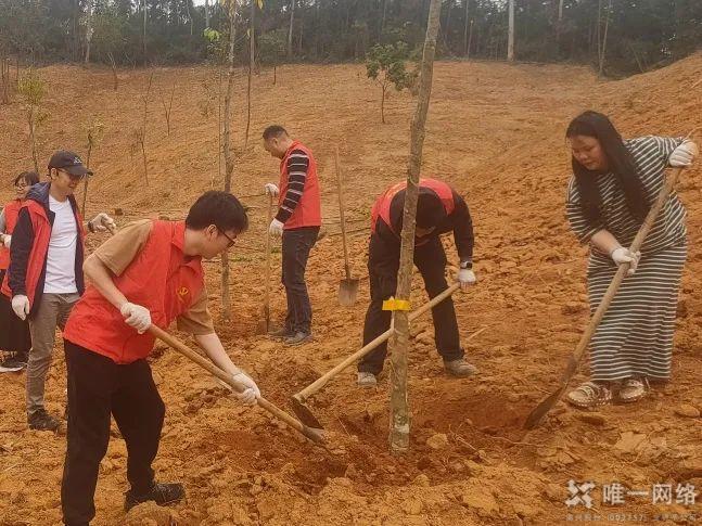 党建红赋能生态绿:壹号娱乐携手共建绿美东莞植树主题党日活动