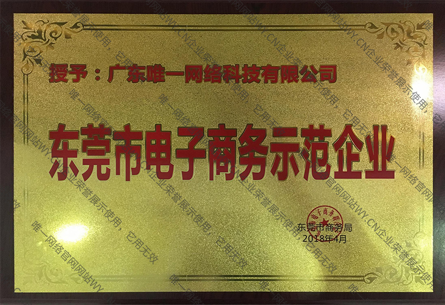 东莞市电子商务示范企业